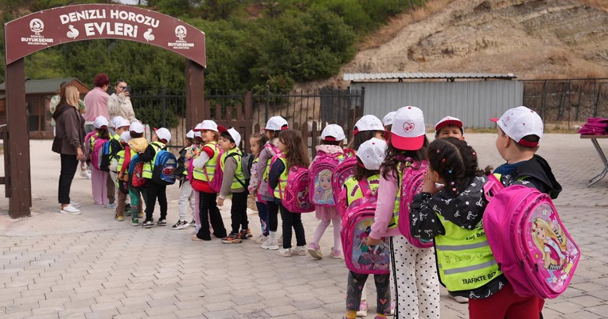 SOKAK HAYVANLARI İÇİN  BAKIMEVİ SAYISI 5'E YÜKSELDİ